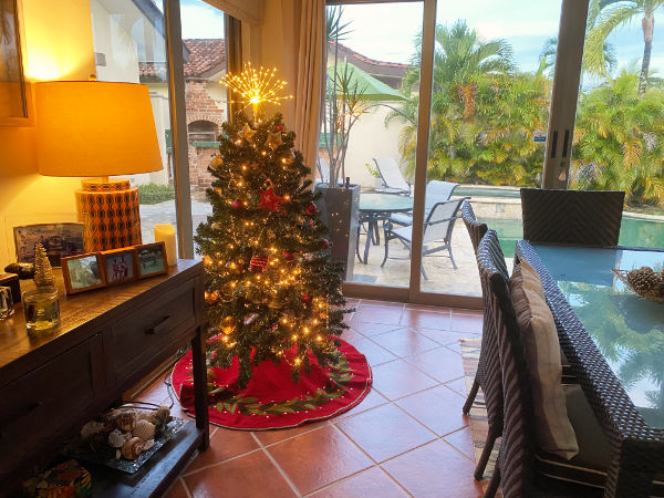 Close up of Decorated Christmas Tree