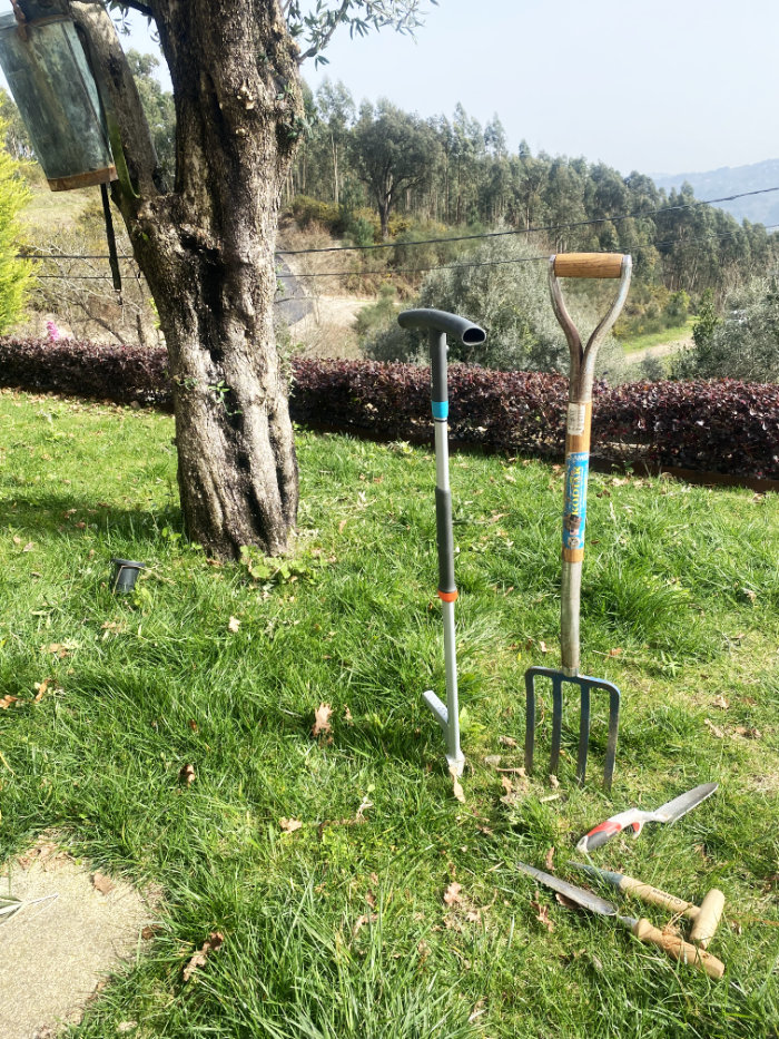 Various garden tools used for weeding, including a weed extractor, fork and hand trowels on a lawn