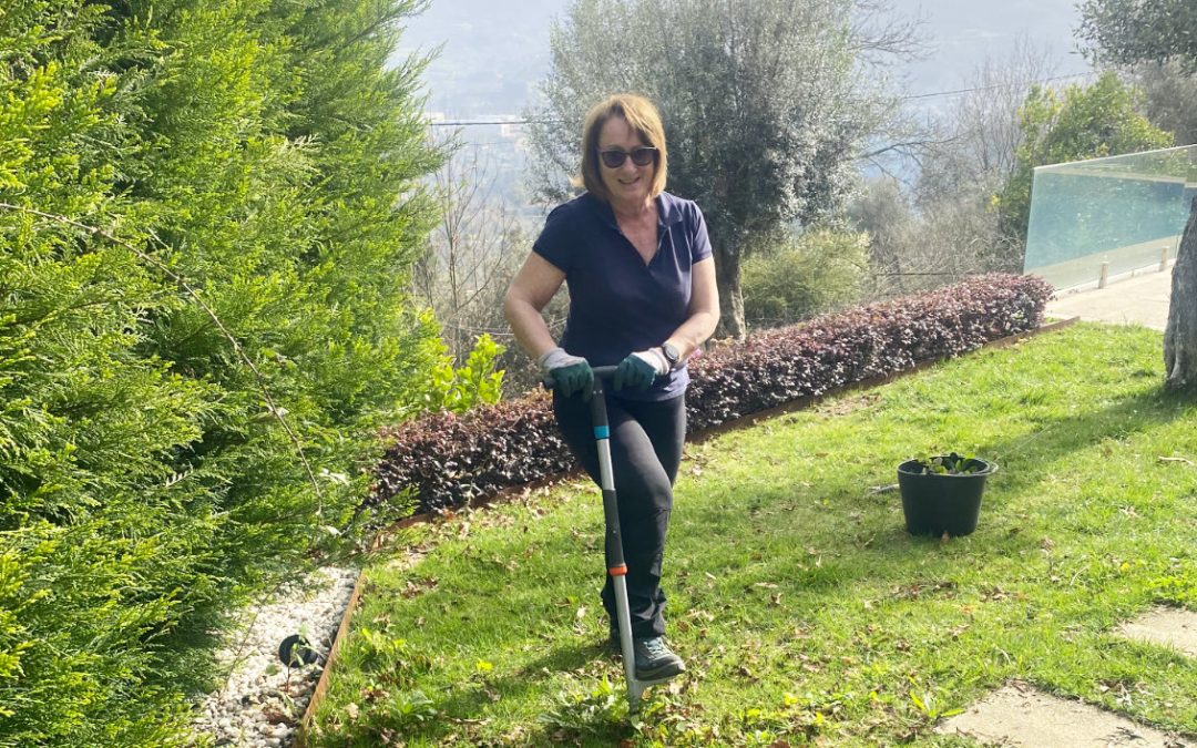 Weeding-garden-with-the-correct-tool-for-the-job