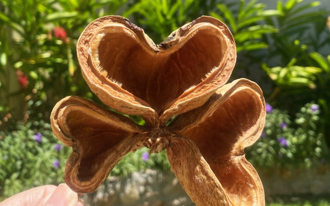 Hospitality: The Most Powerful Tool You Have (and the One Thing You Can’t Automate)